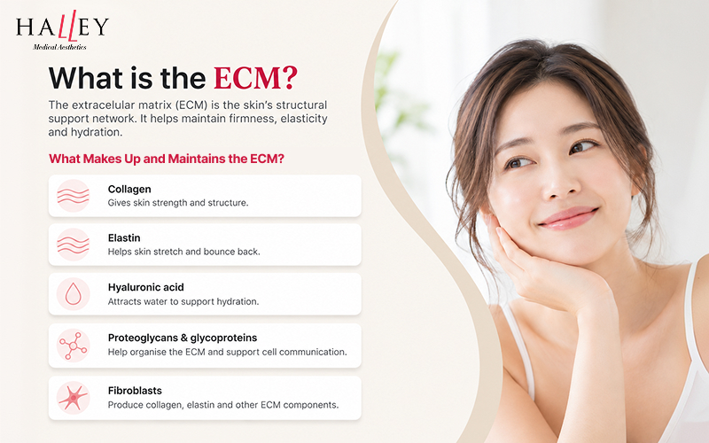 Infographic about What is EMC