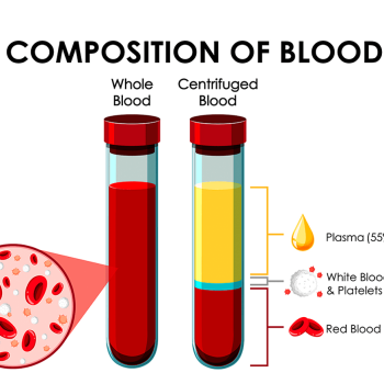Composition of blood components in percentages.